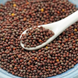 mustard seeds 200g