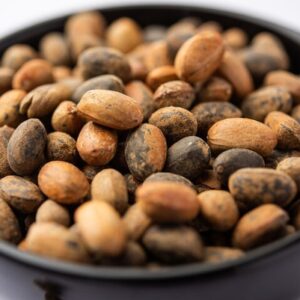 croton seeds 200g